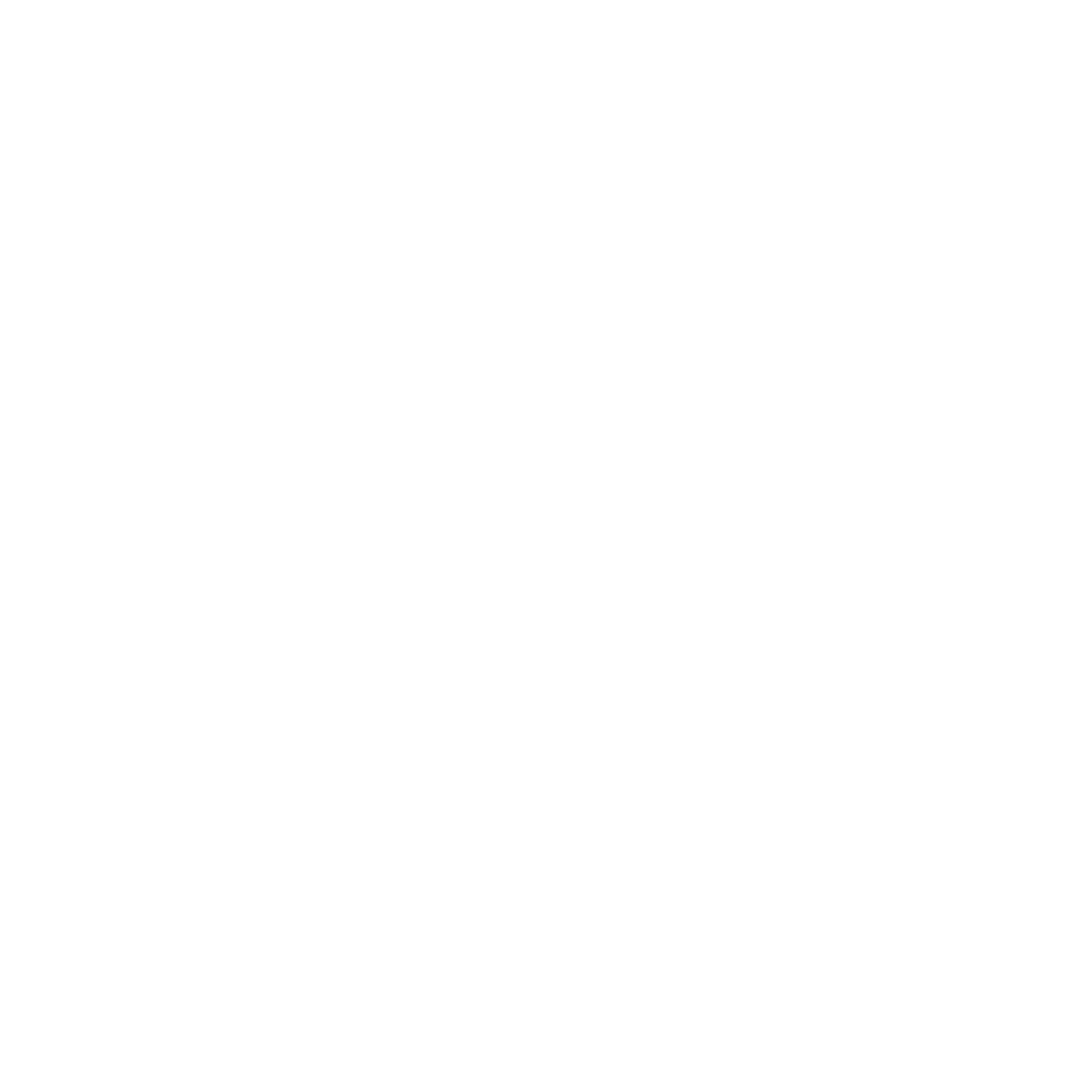 Logo ISD Executive Blanc 2 Logo ISD Executive